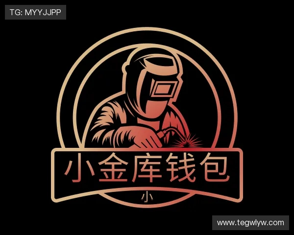 解读小金库钱包官网